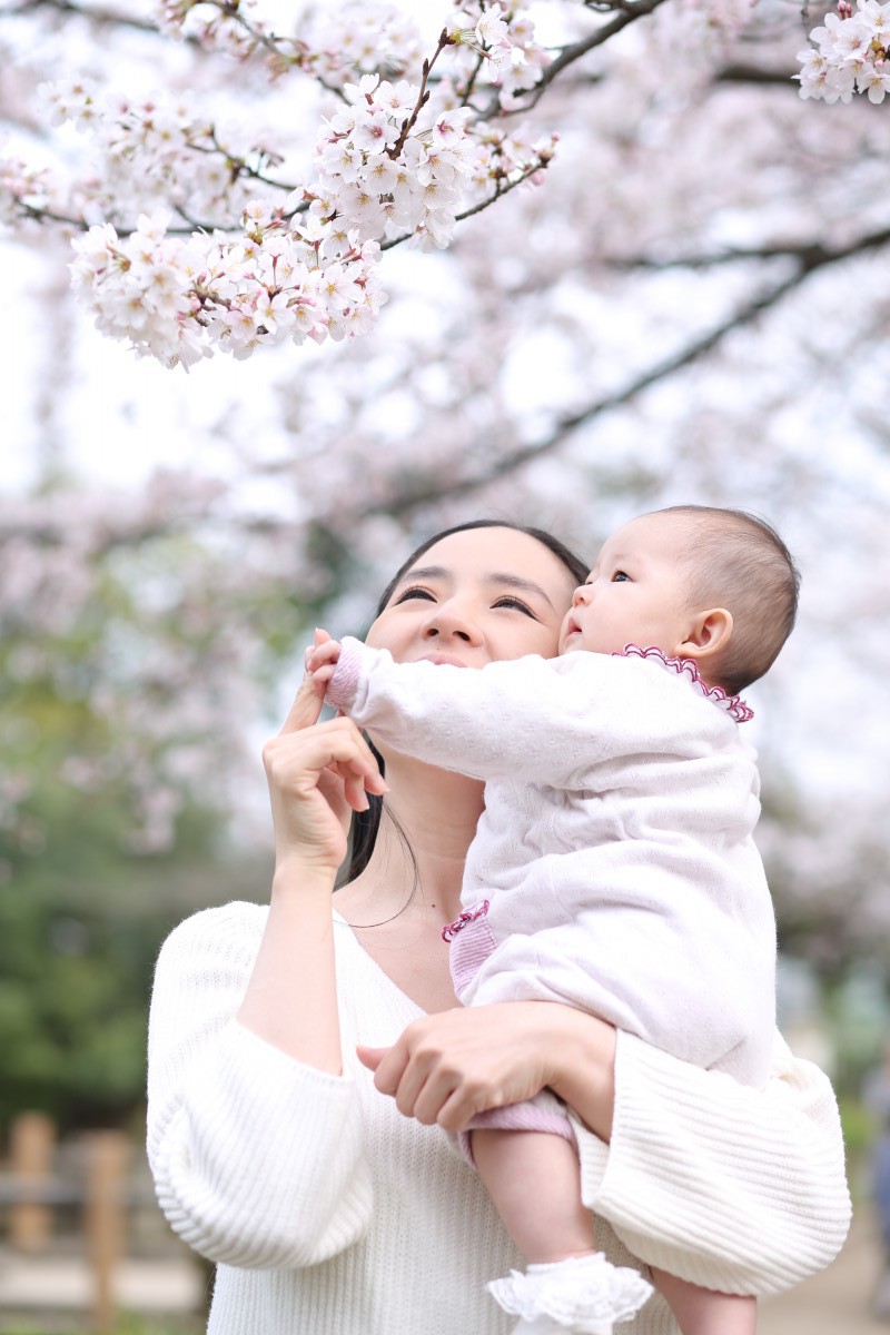 桜と撮影＾＾