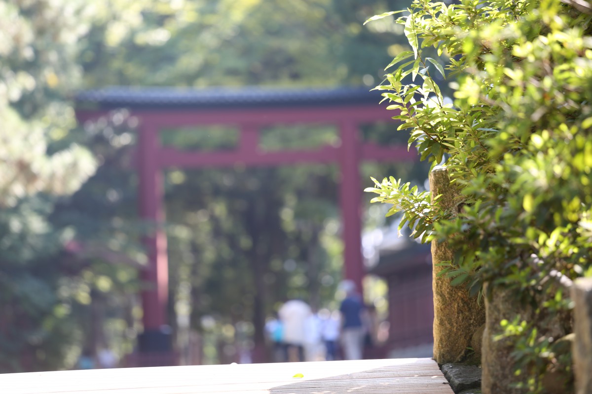 ◆天気の良さが半端じゃないですね◆