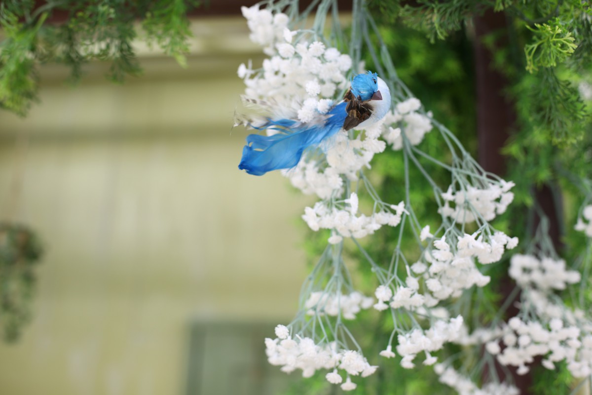 ☆ついにお披露目！生まれ変わりました♪☆