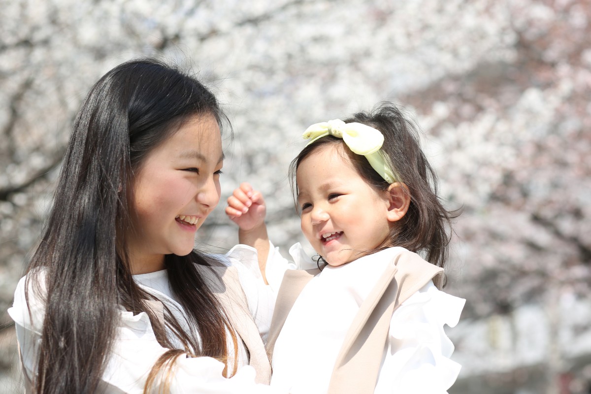 さくら満開！　〜13:30編〜