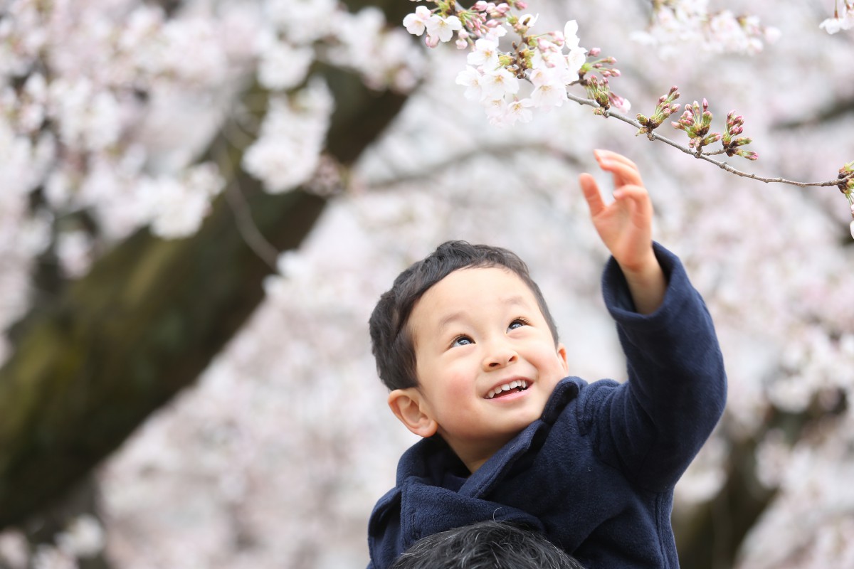 ◆さくら撮影会速報！◆