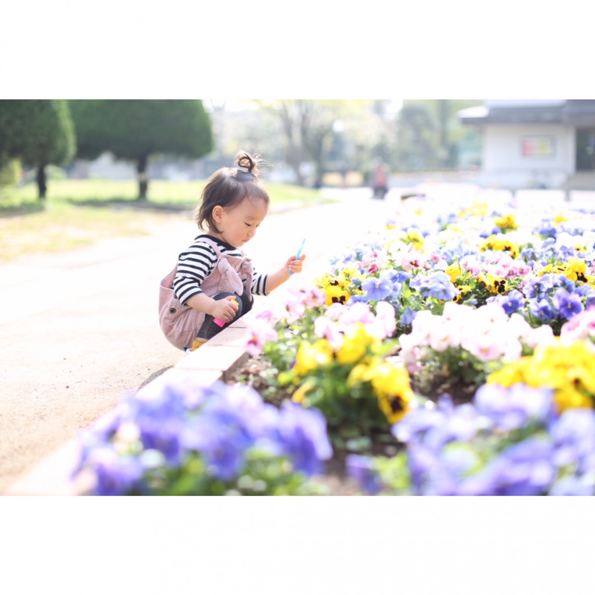 ◆スタジオ・お外での撮影ワンポイント◆