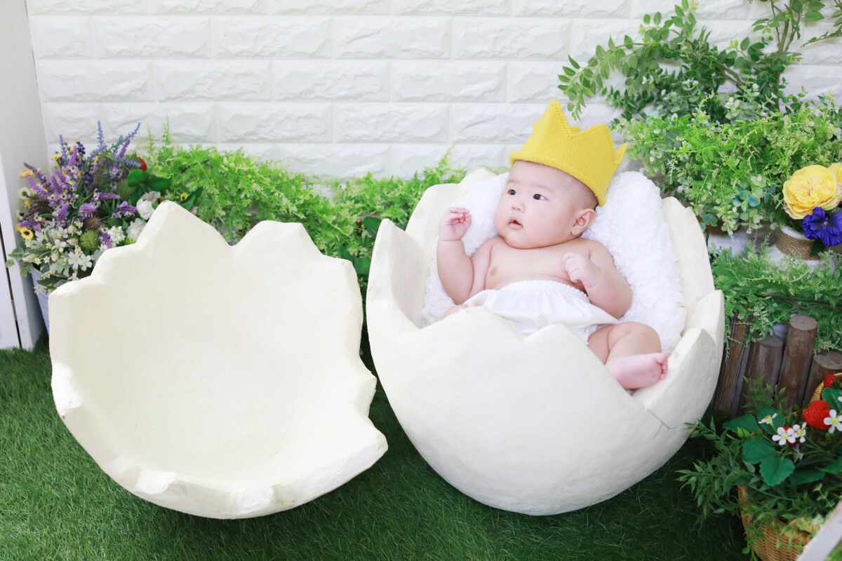 11/17たまごDE撮影会