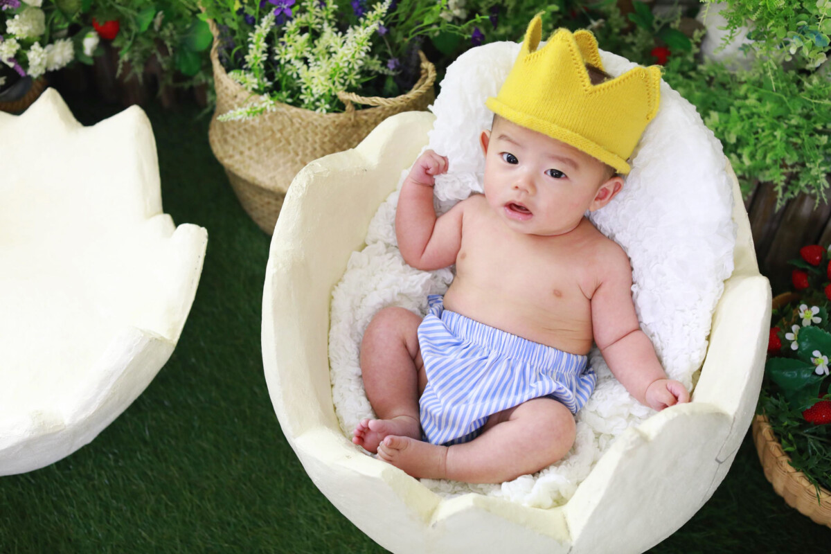 ことりの撮り方…その２