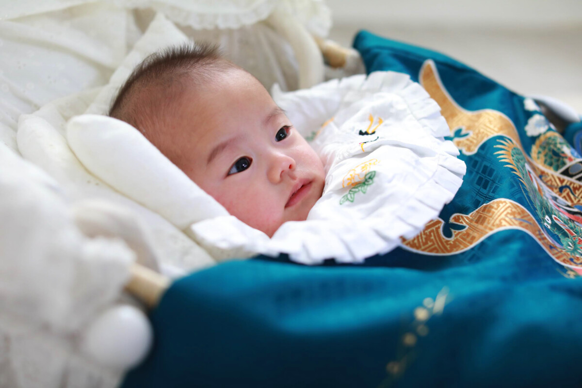 ことりの撮り方は…