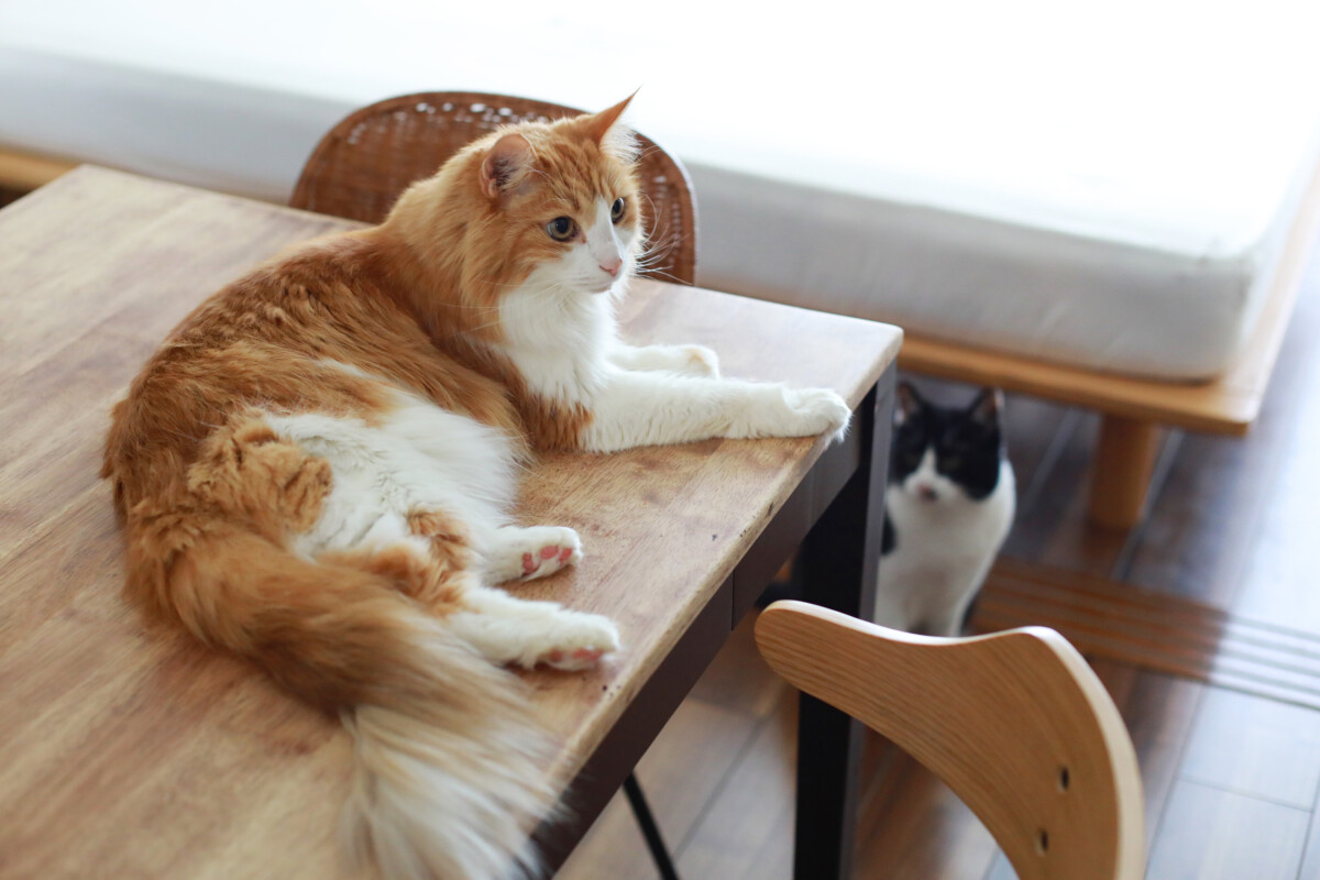 【番外撮影】一緒に過ごした思い出